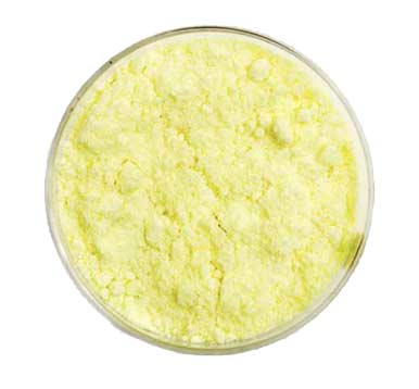 Dinitrophenol
